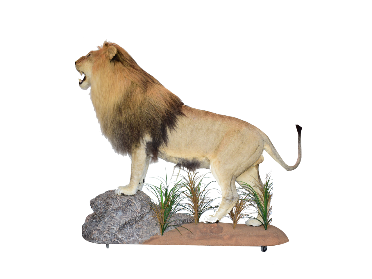 Lion Full Mount LFM10