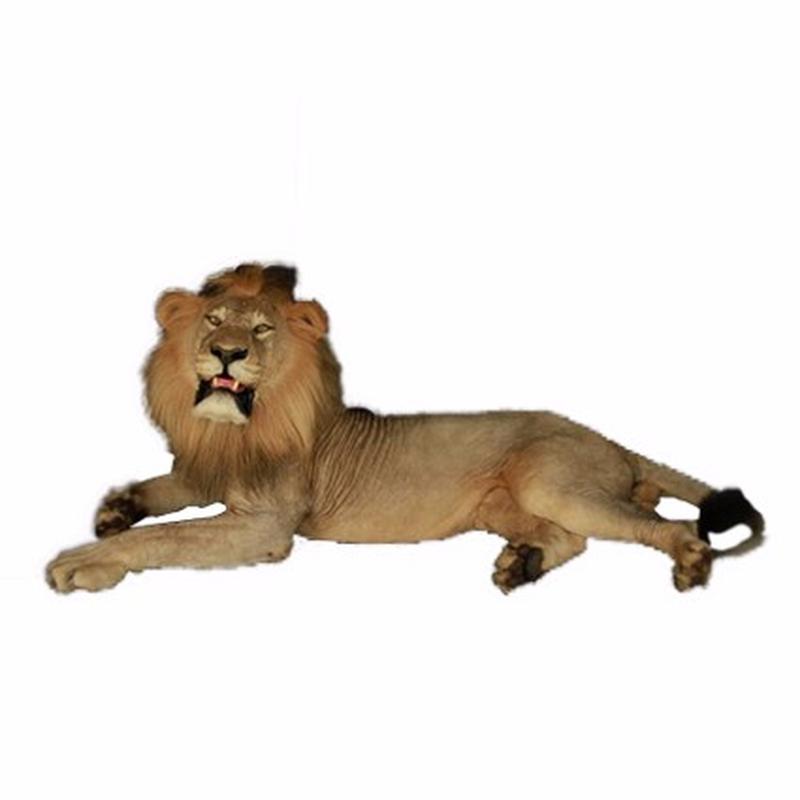 Lion Full Mount - LFM11