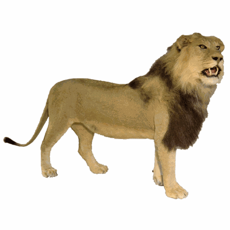 Lion Full Mount LFM11