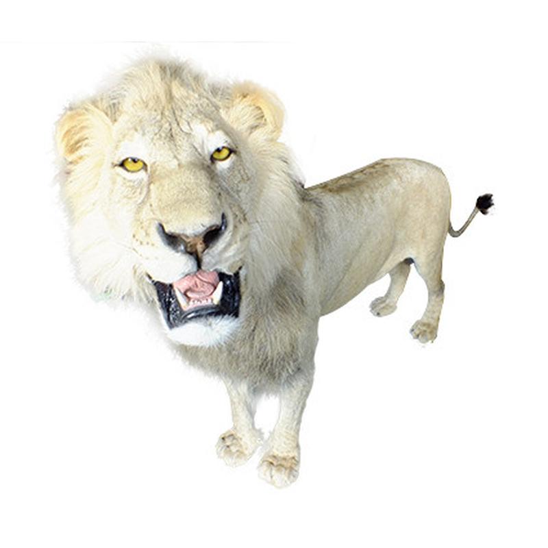 Lion Full Mount LFM26 - Image 2