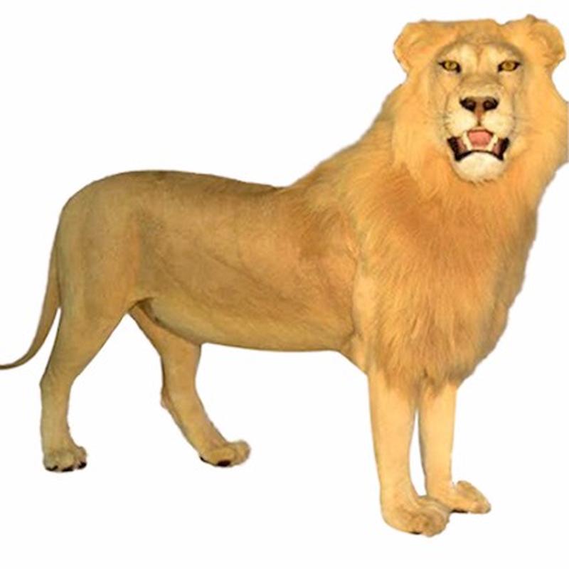 Lion Full Mount - LFM_02
