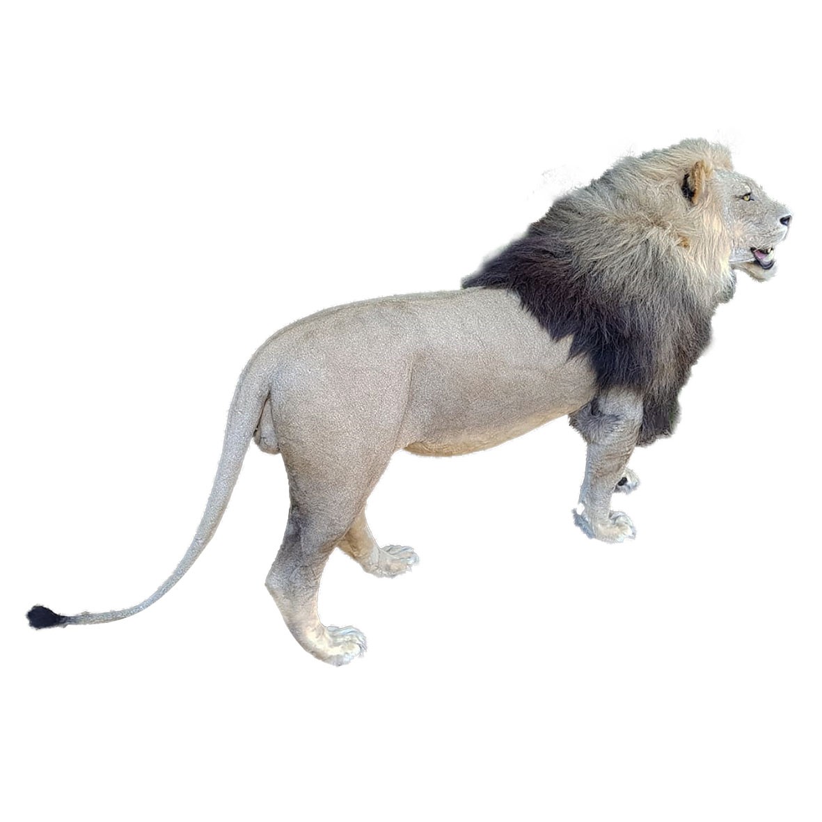 LION FULL MOUNT LFMA12 - Image 4