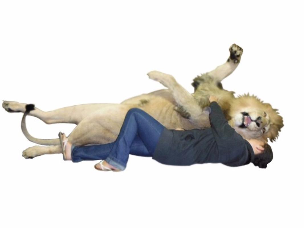 Lion Full Mount Lying Down LFM2 - Image 2