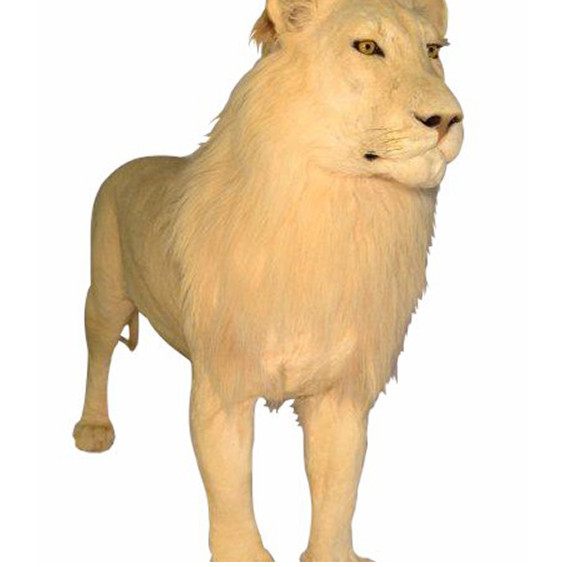 Lion Full Mount - NZ14