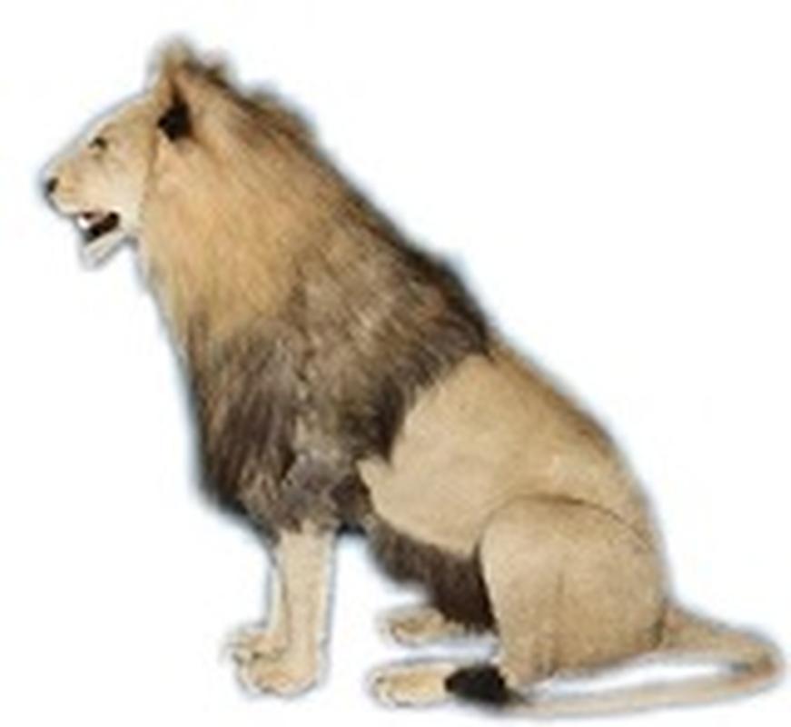 Lion Full Mount Sitting - LFM80