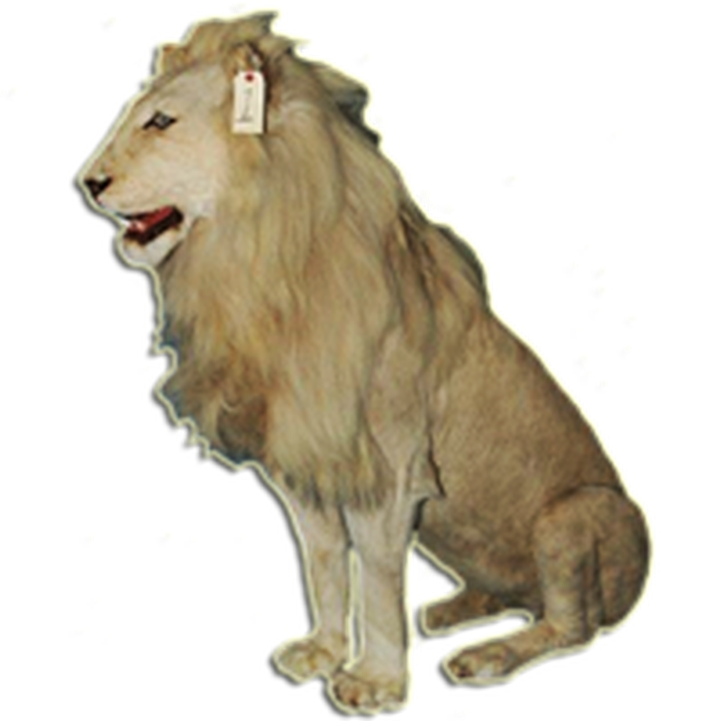 Lion Full Mount Sitting - LFMS091 - Image 3