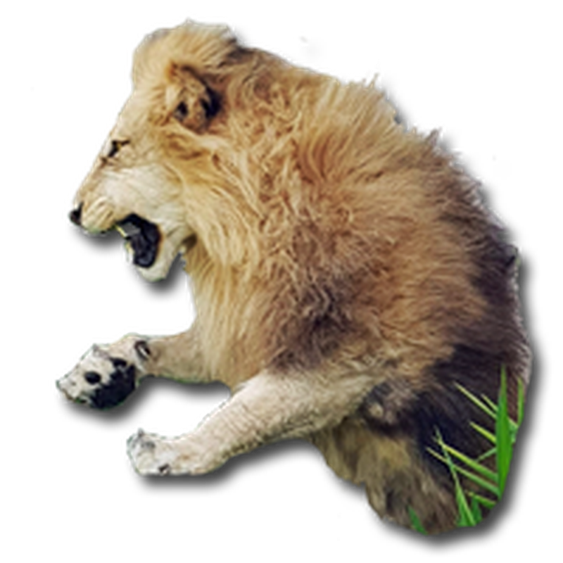 Lion Half Mount - HML 100 - Image 2