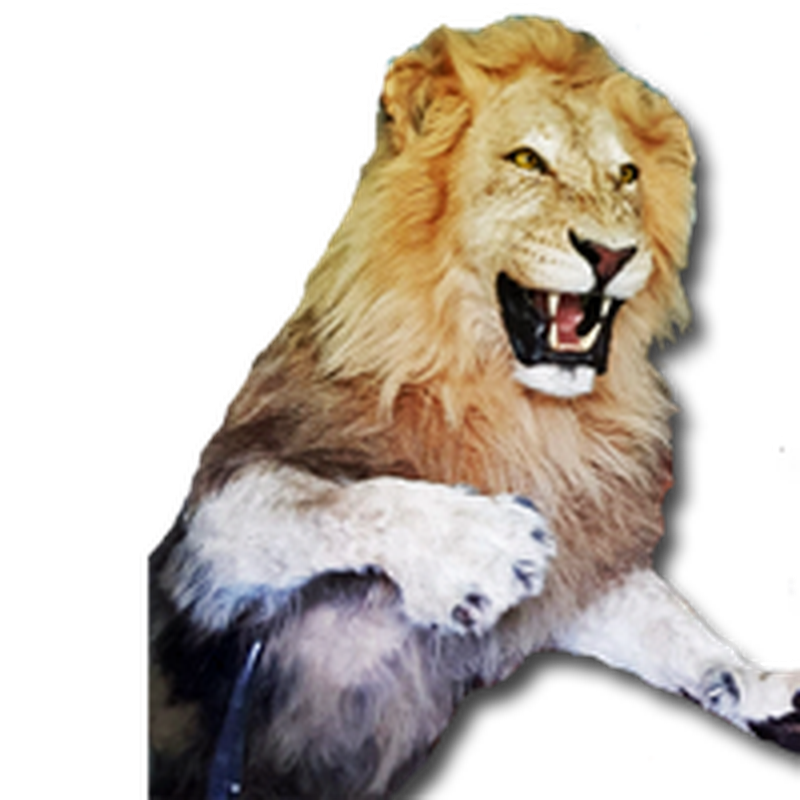 Lion Half Mount - HML 100 - Image 3