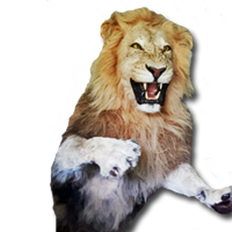 Lion Half Mount - HML 100 - Image 4
