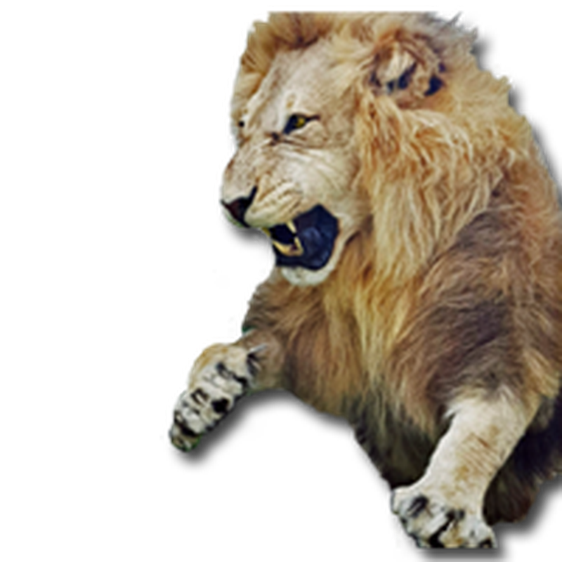 Lion Half Mount - HML 100 - Image 6