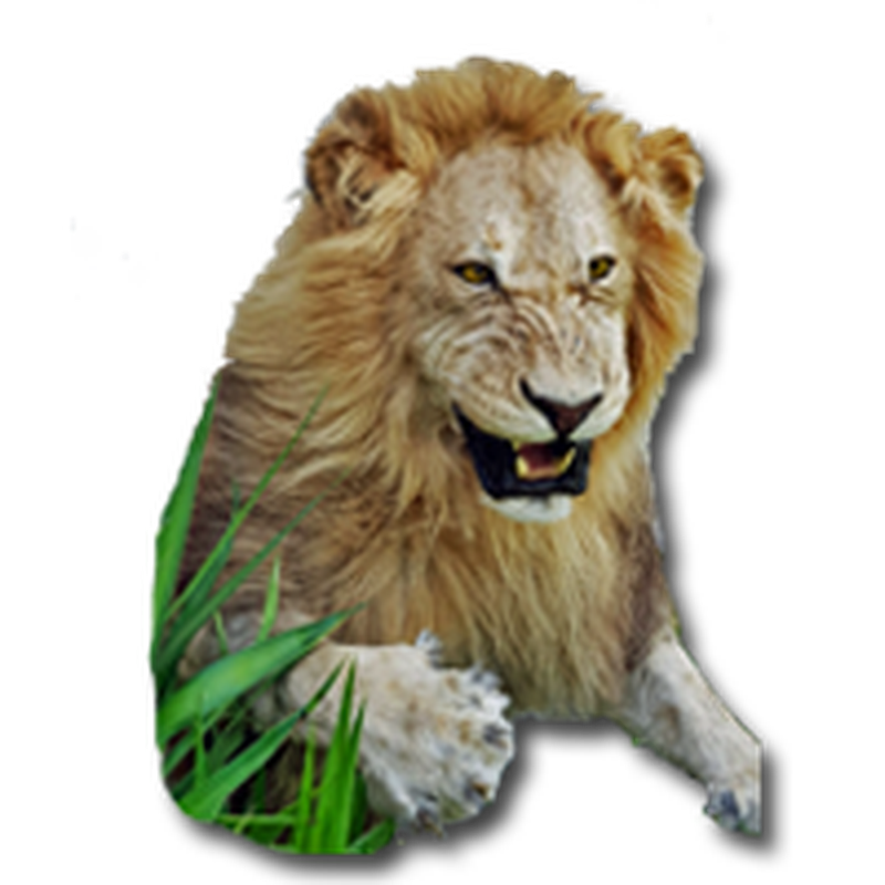 Lion Half Mount - HML 100 - Image 7