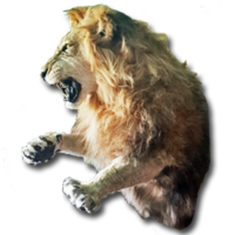 Lion Half Mount - HML 100 - Image 8