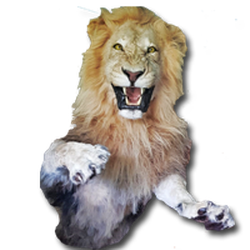 Lion Half Mount - HML 100