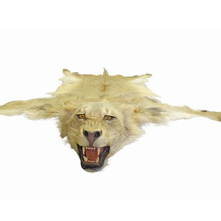 Lion Male Rug LMR1 - Image 2