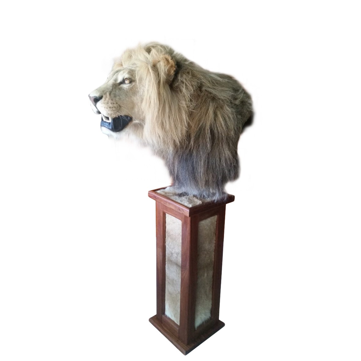 LION PEDESTAL MOUNT LPM112 - Image 2