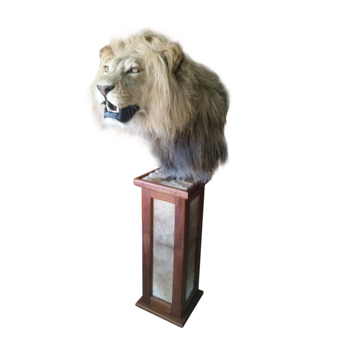 LION PEDESTAL MOUNT LPM112 - Image 4