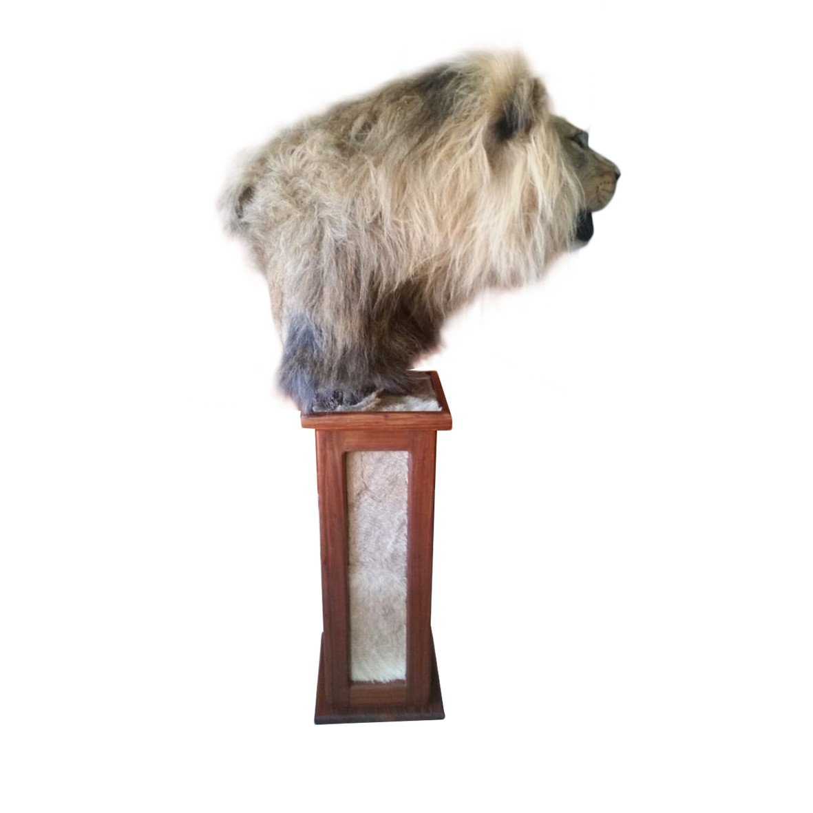 LION PEDESTAL MOUNT LPM112 - Image 5
