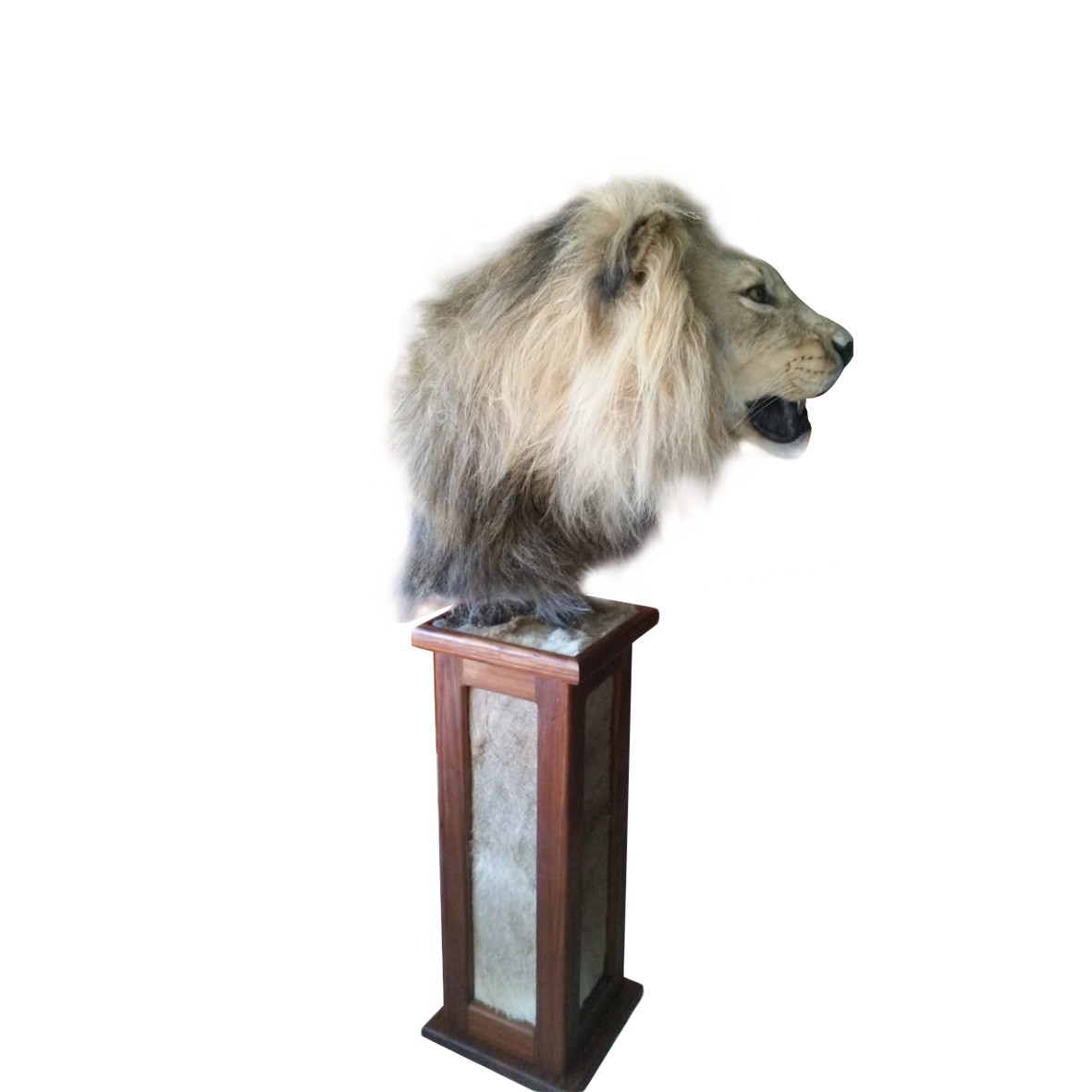 LION PEDESTAL MOUNT LPM112 - Image 6
