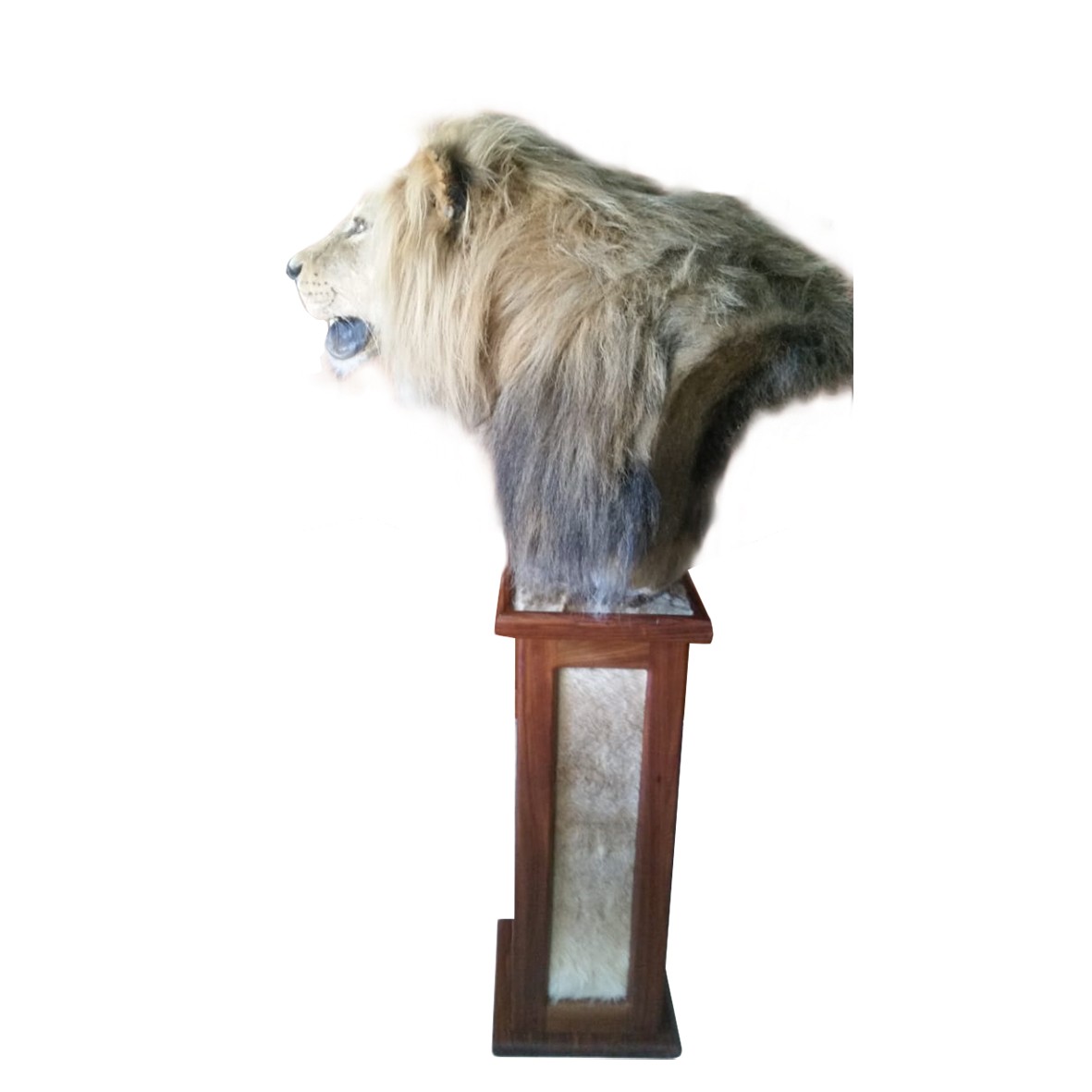 LION PEDESTAL MOUNT LPM112 - Image 7