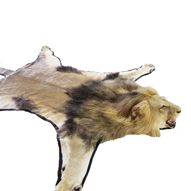LION RUG MOUNT LP9 - Image 2