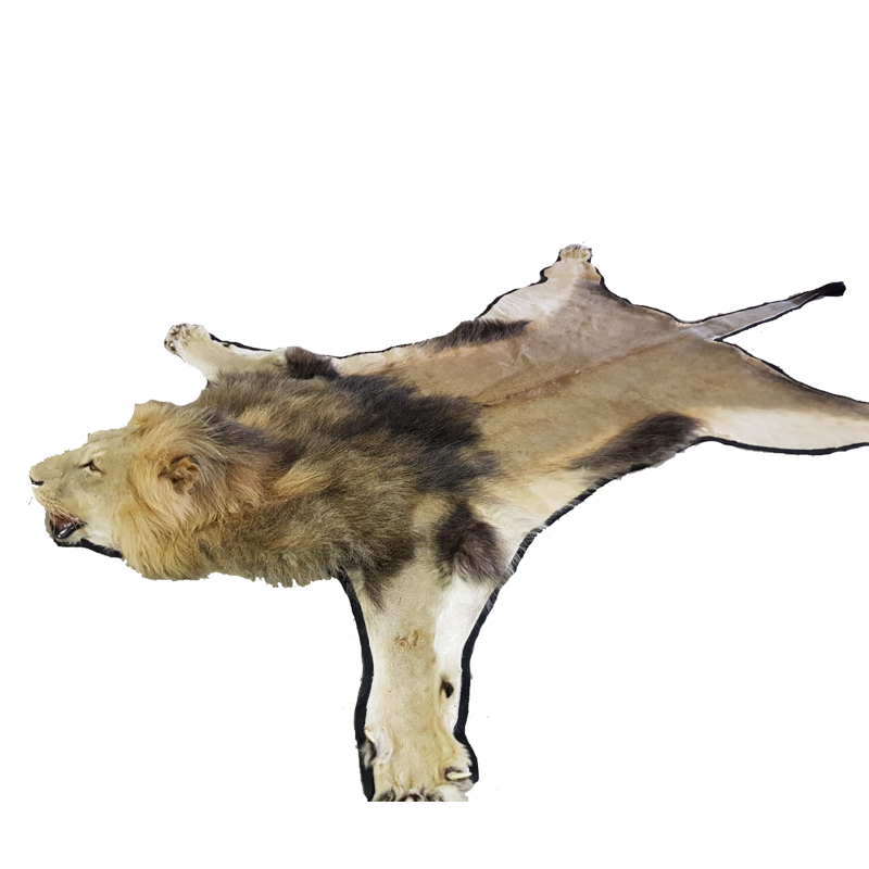 LION RUG MOUNT LP9 - Image 4