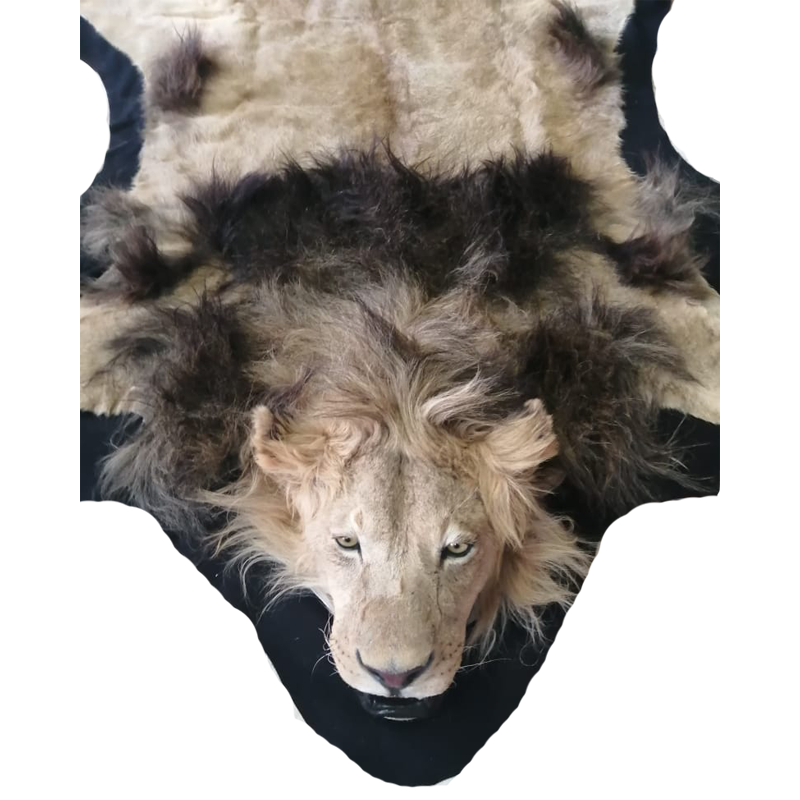LION RUG MOUNT LRM111