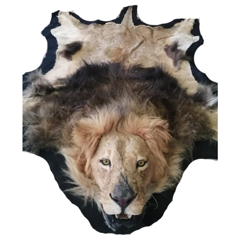 LION RUG MOUNT LRM112