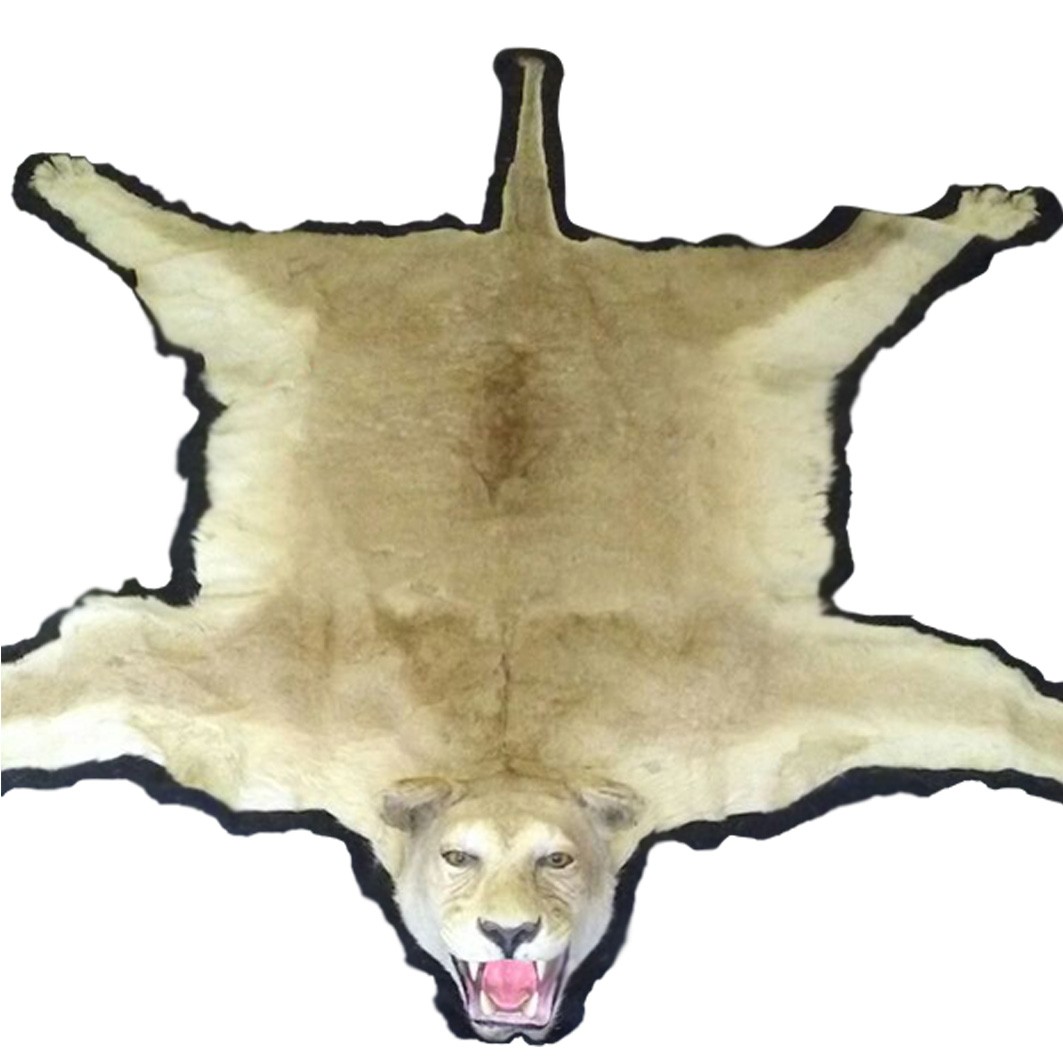 Lion Rug Mount LRM0018