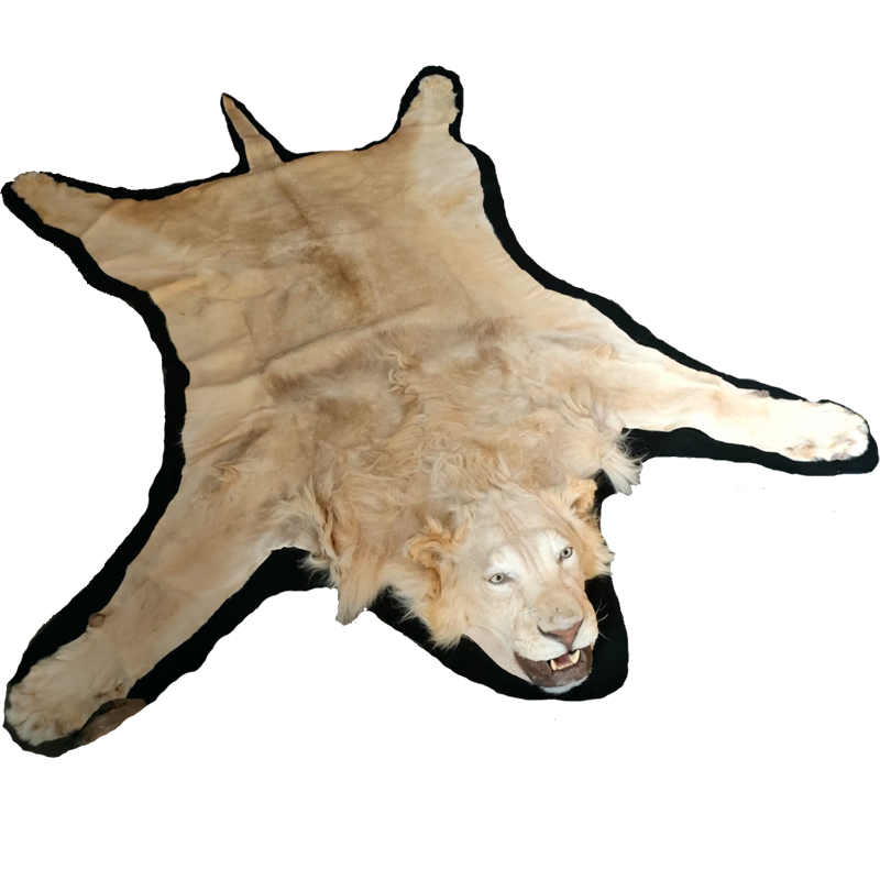 LION RUG MOUNT LRM13 - Image 2