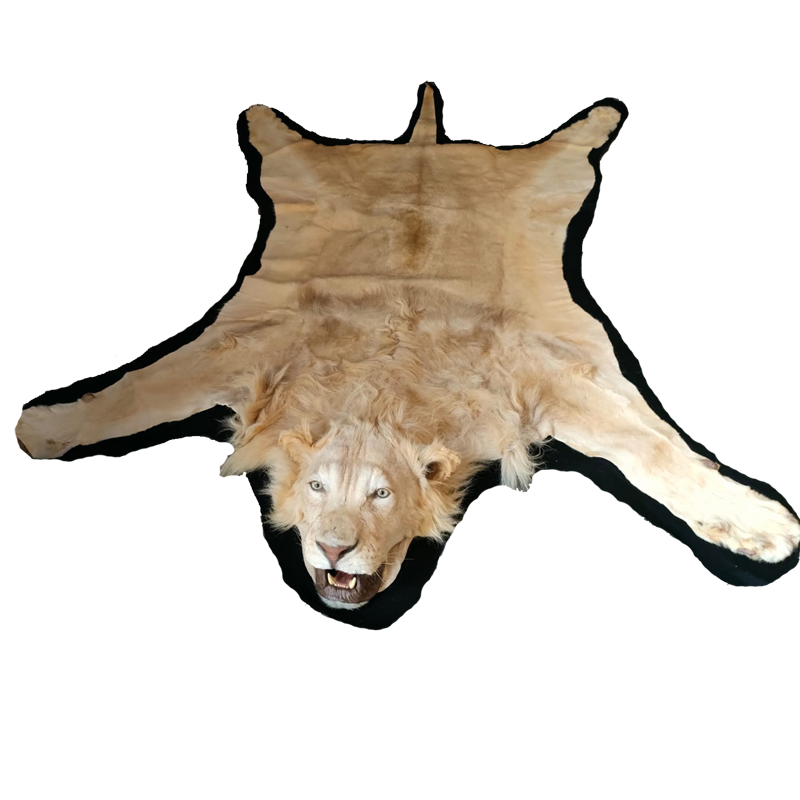 LION RUG MOUNT LRM13 - Image 3