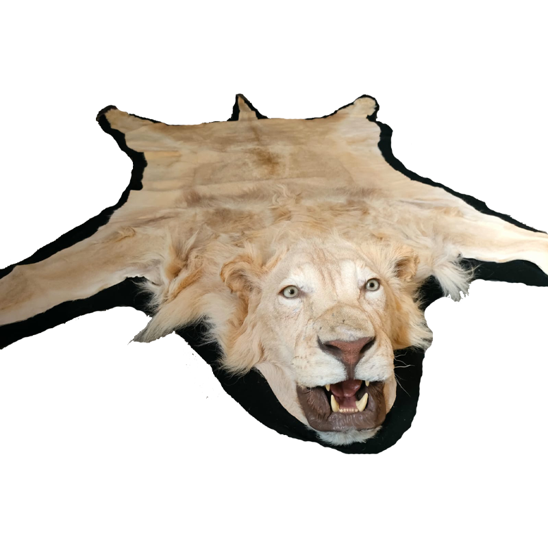 LION RUG MOUNT LRM13