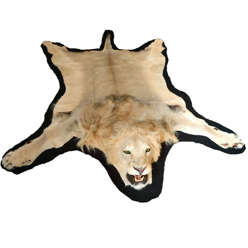 LION RUG MOUNT LRM14 - Image 2