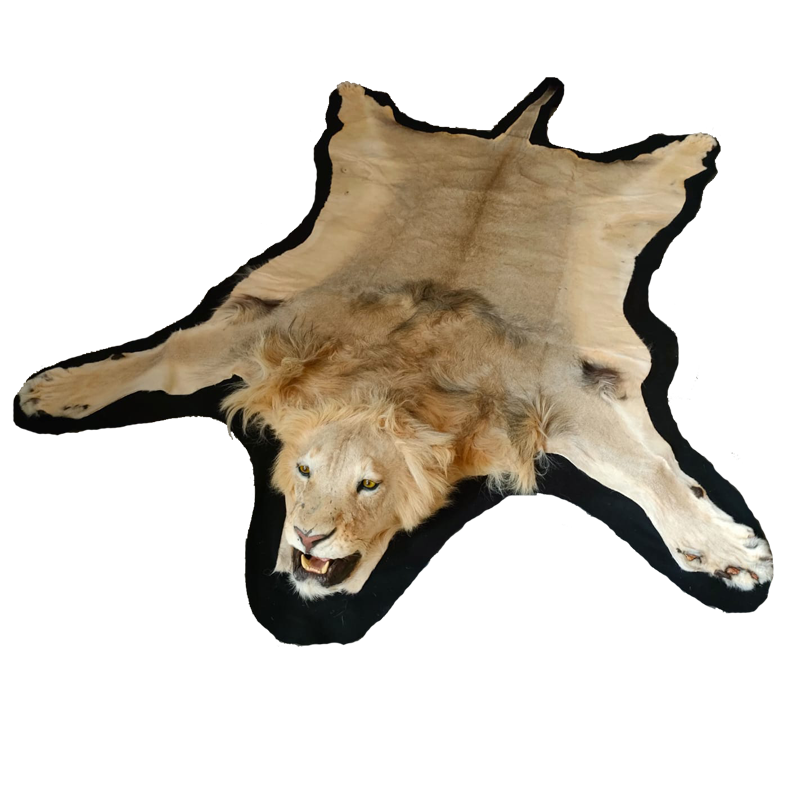 LION RUG MOUNT LRM14 - Image 3