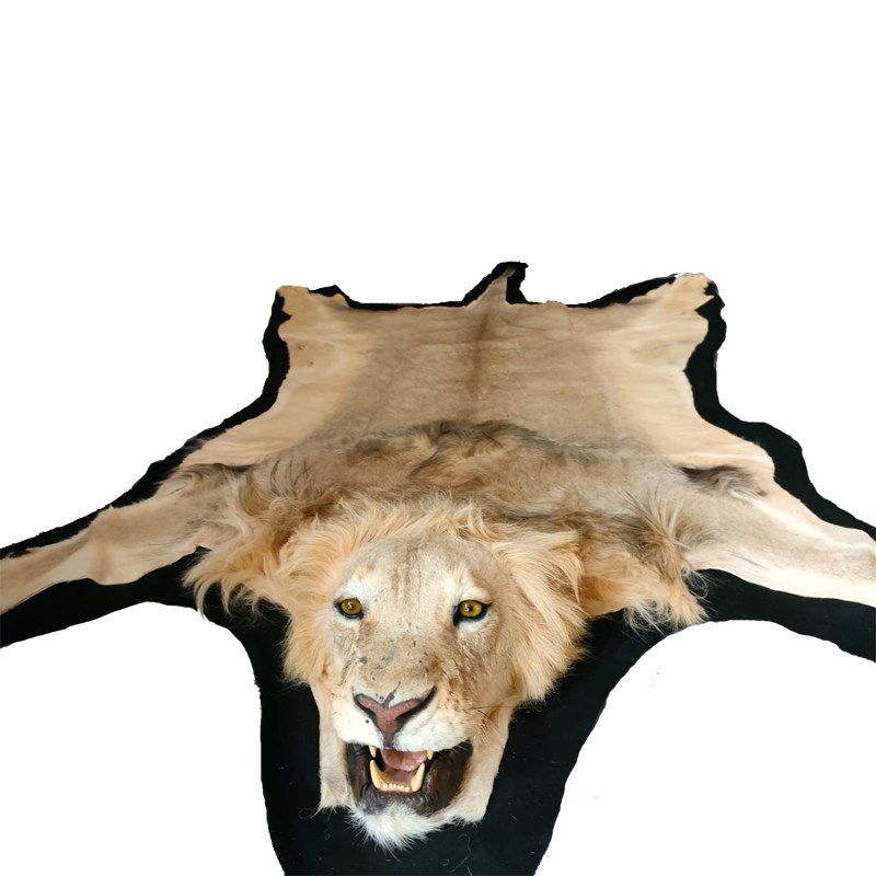 LION RUG MOUNT LRM14