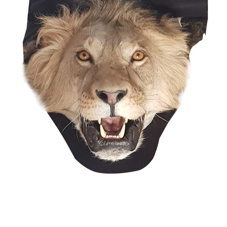 LION RUG MOUNT LRM145 - Image 2