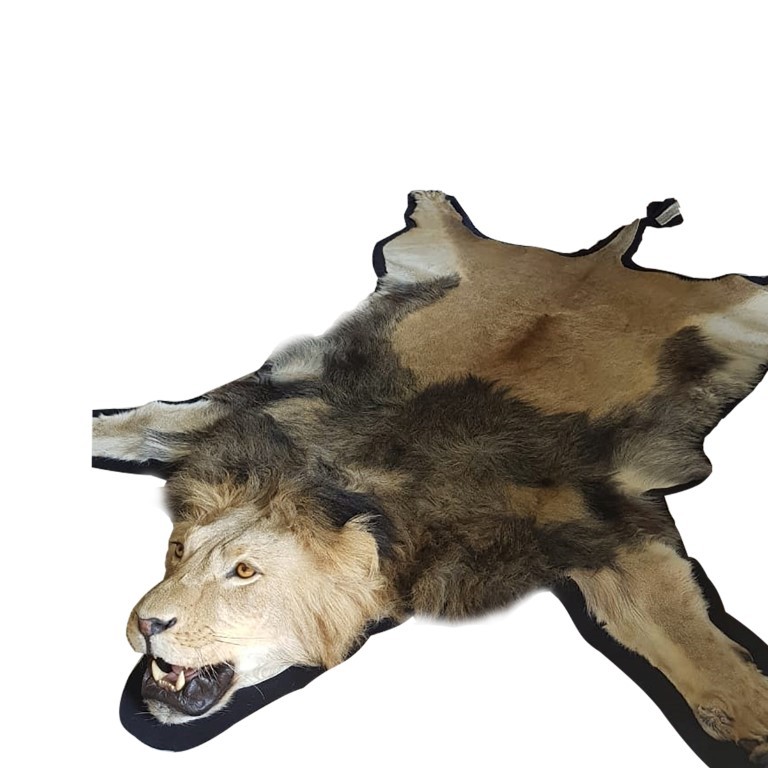 LION RUG MOUNT LRM145 - Image 3