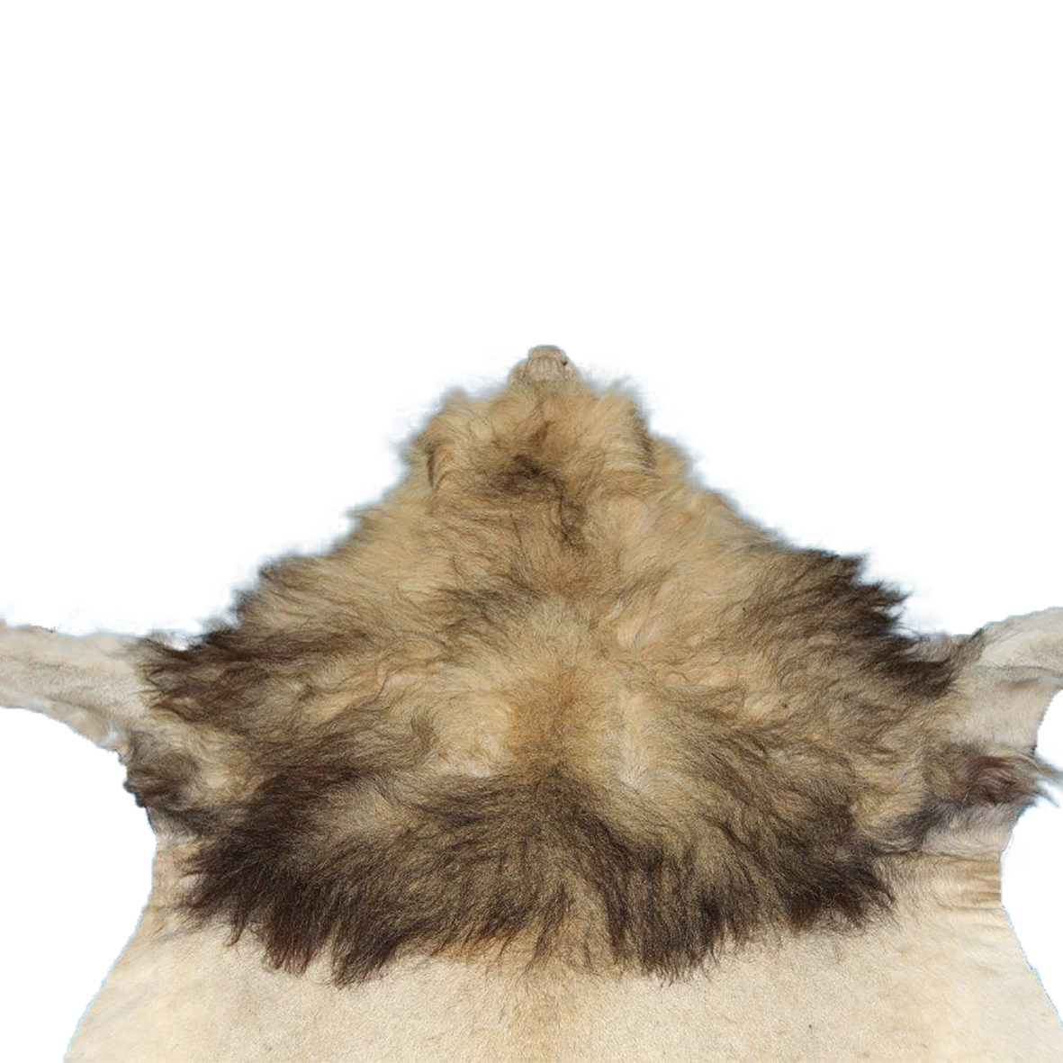LION RUG MOUNT LRM29S - Image 6