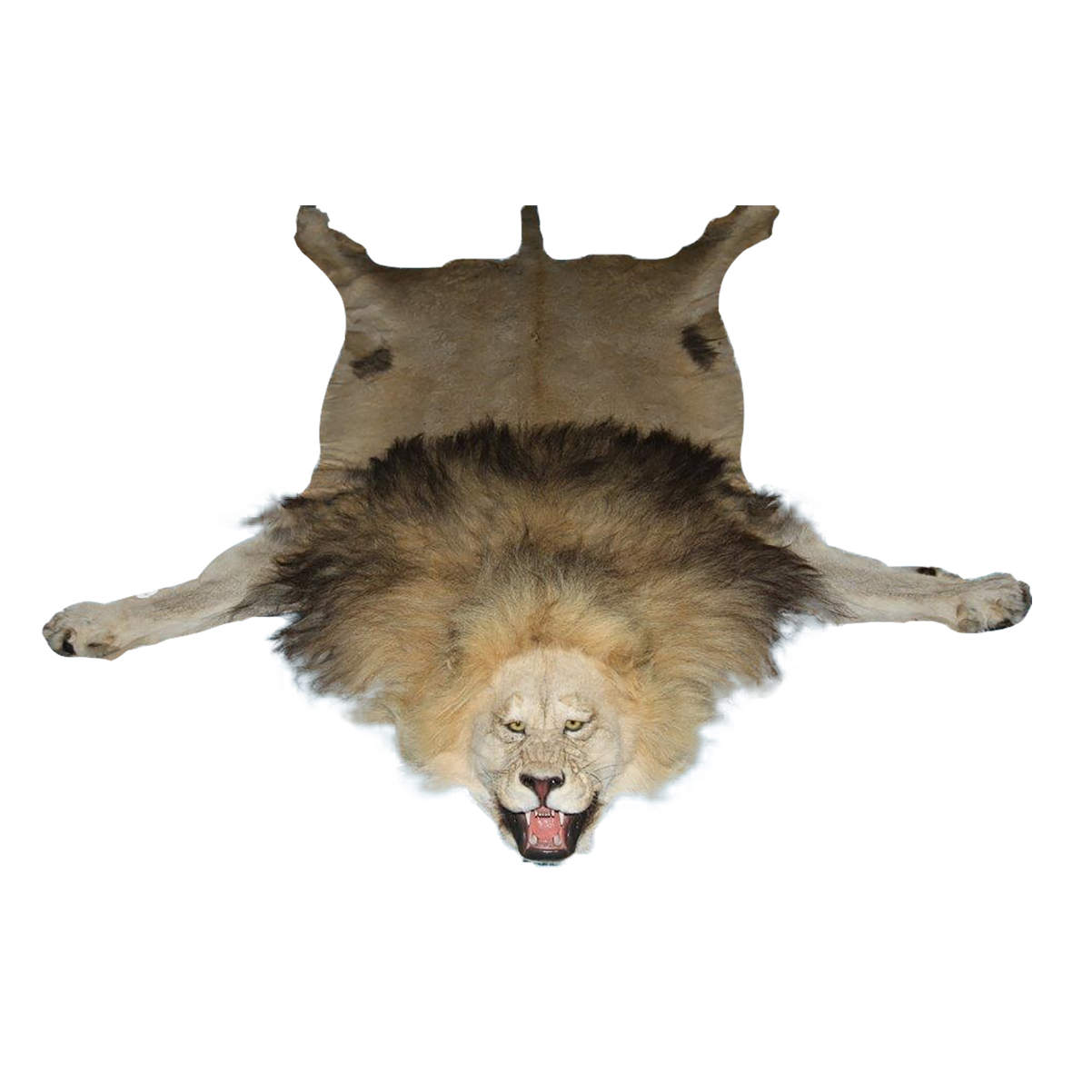 LION RUG MOUNT LRM29S