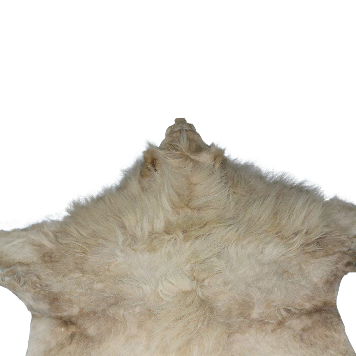 LION RUG MOUNT LRMS0A - Image 2