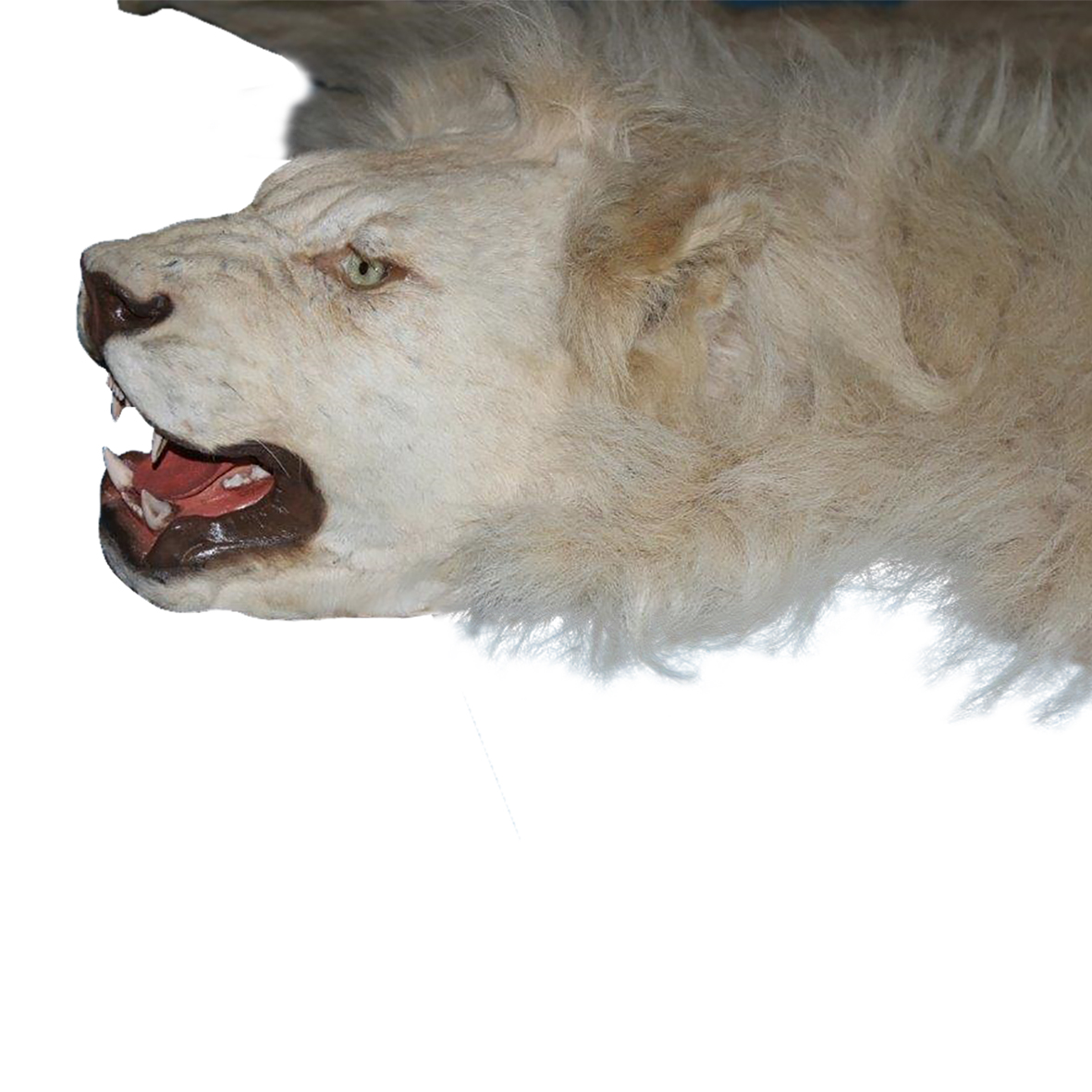 LION RUG MOUNT LRMS0A - Image 3