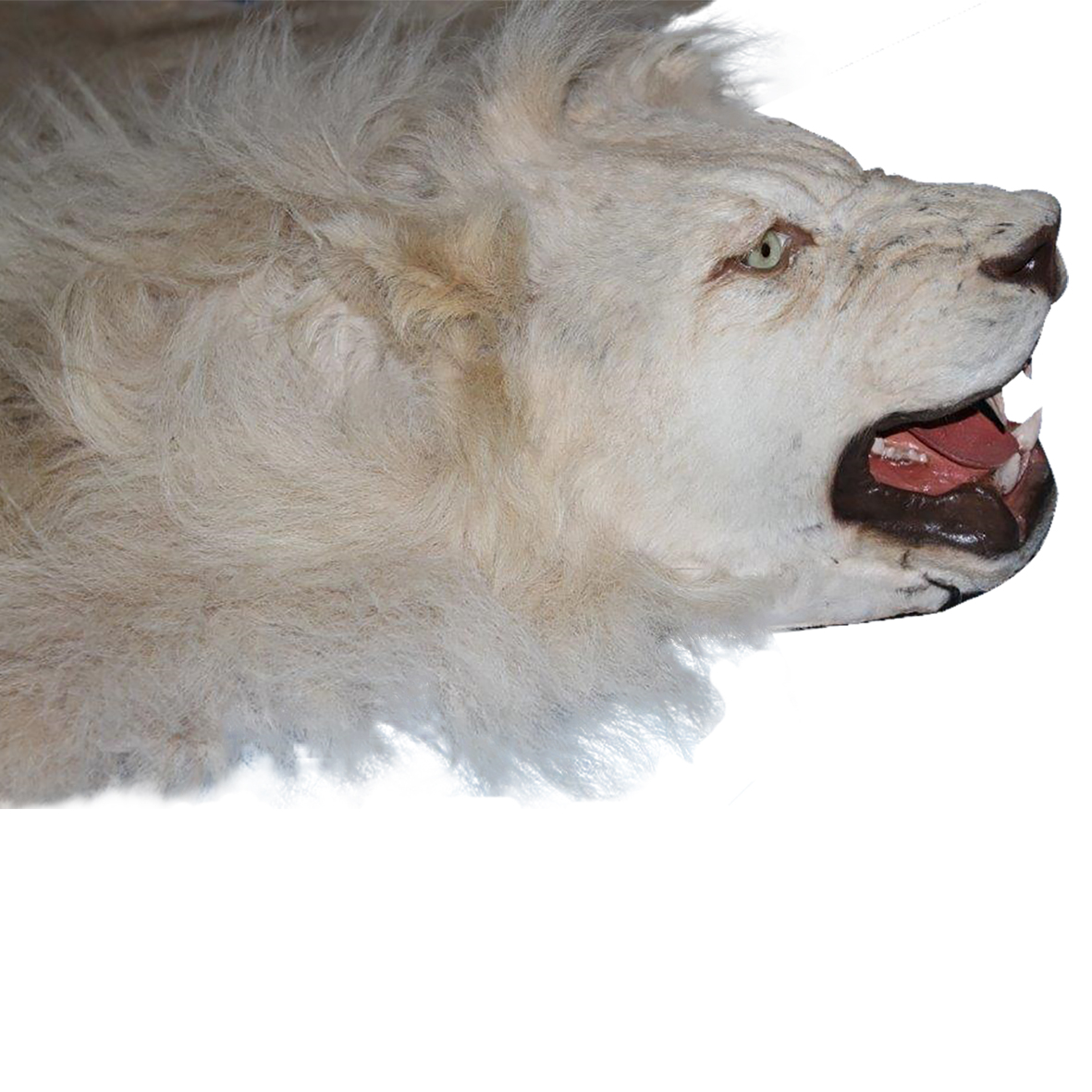 LION RUG MOUNT LRMS0A - Image 4