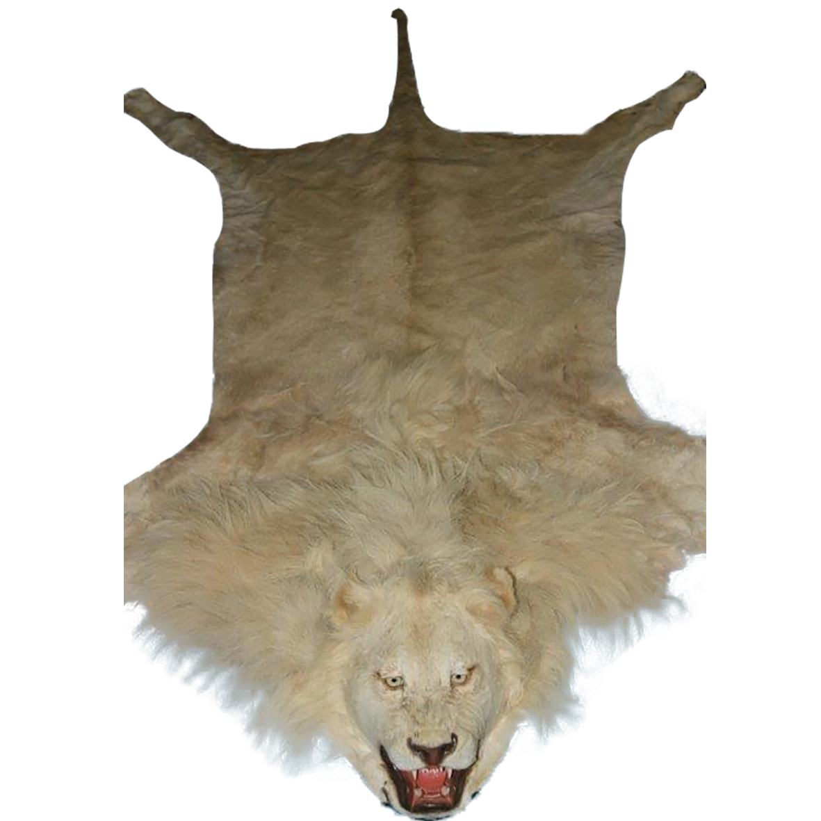 LION RUG MOUNT LRMS0A