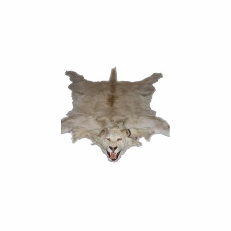 Lion Rug Mount - White LMW1