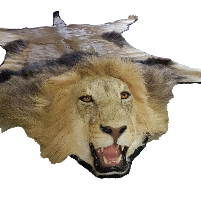 LION RUG MOUNT LP9