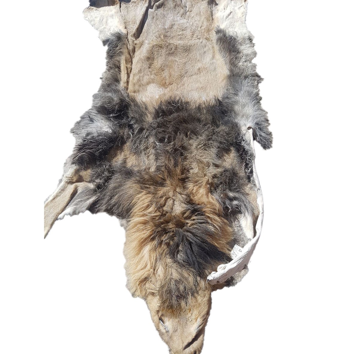 Lion Skin For Mounting M16