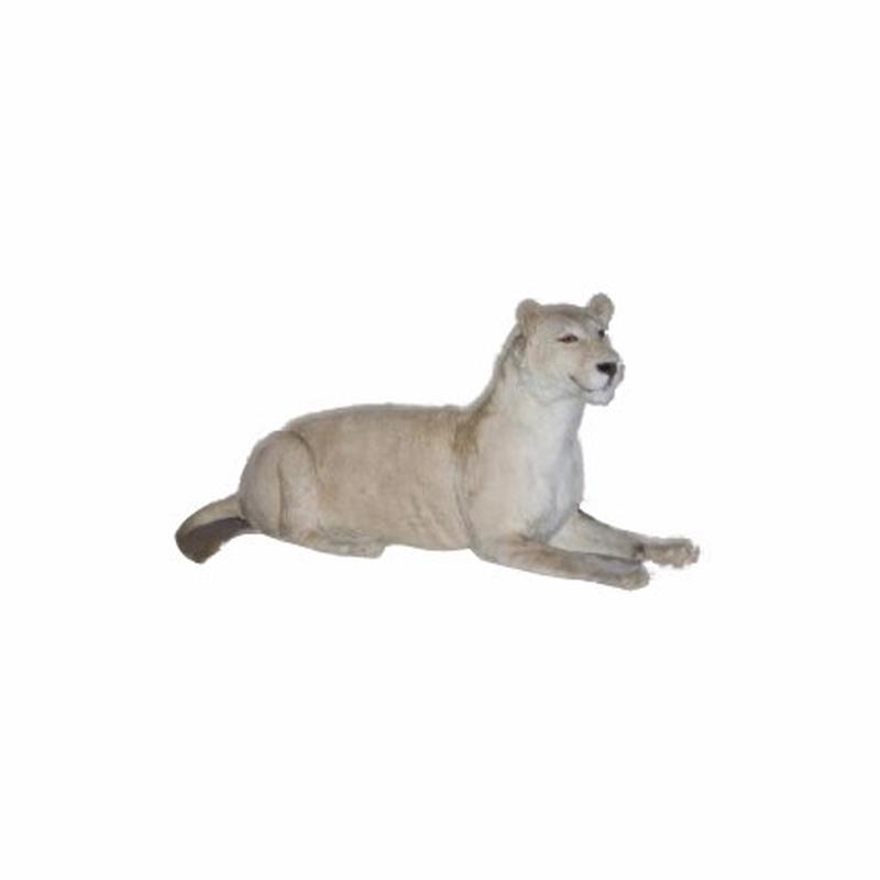 Lioness Full Mount B