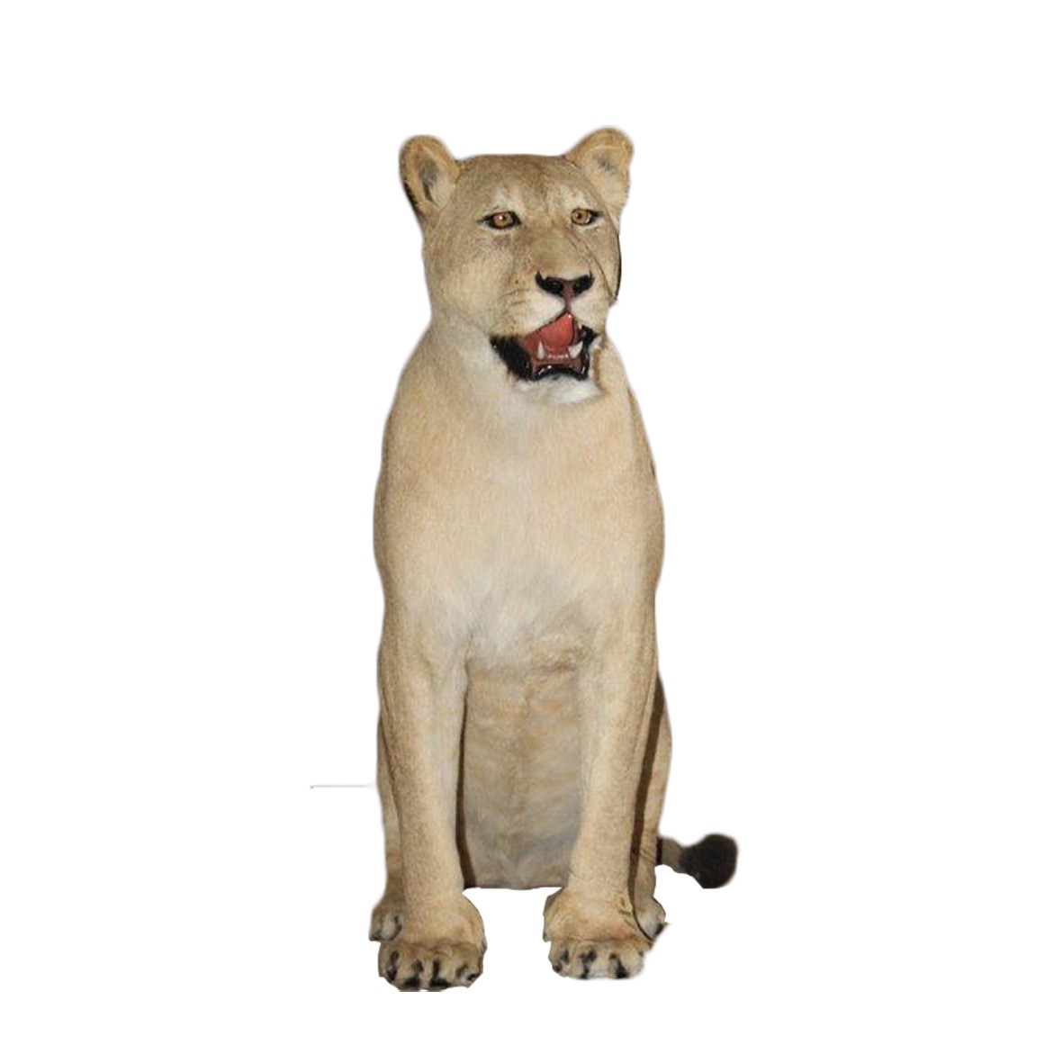 LIONESS FULL MOUNT SITTING LFMST2