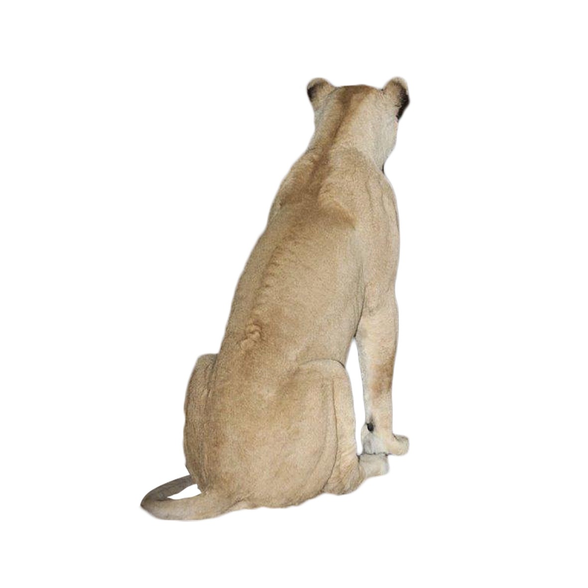 LIONESS FULL MOUNT SITTING LFMST2 - Image 3