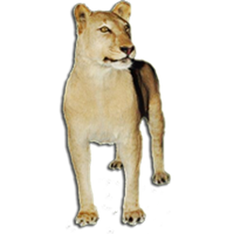 Lioness Full Mount Standing - LFMS091 - Image 3