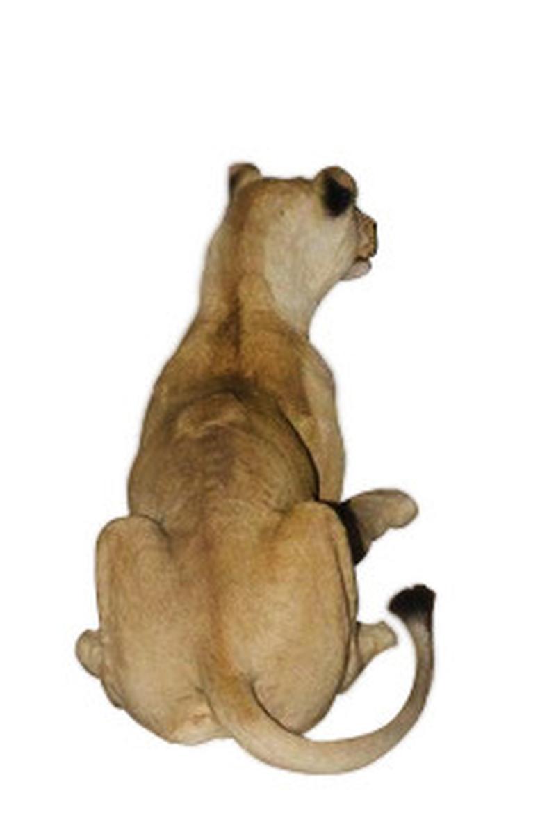 Lioness Lying Down Full Mount - LFFM003 - Image 2